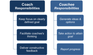 Roles en Coaching