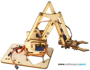 4 DOF Wood Robotic